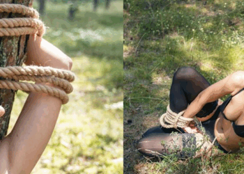 Kommentare zu Pauline