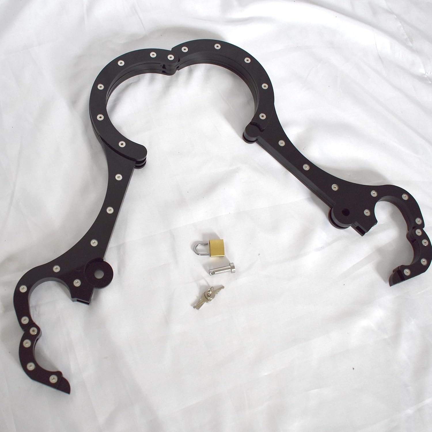 Schandgeige leicht – Bild 7