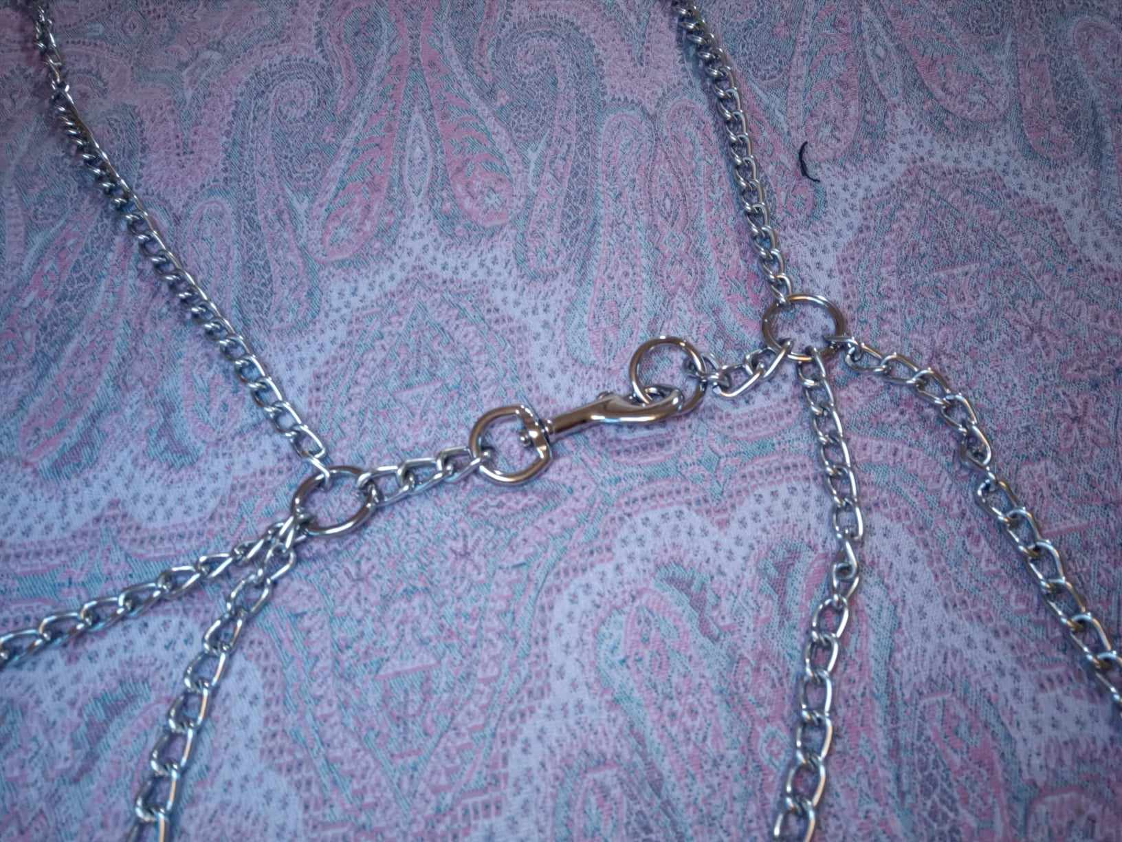 Kragen mit Klemmen – Bild 4