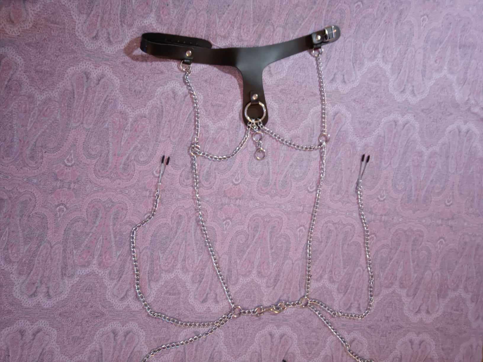 Kragen mit Klemmen – Bild 6